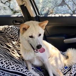 「まるくん １歳」サムネイル2