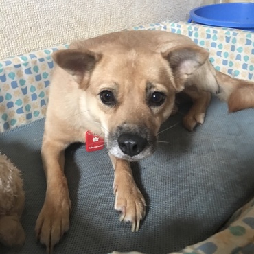 お昼寝していたのですけど、何か？あ！オヤツですか⁉️