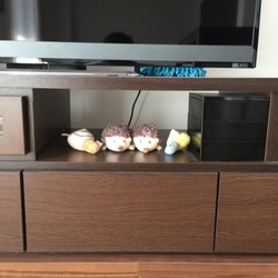 「おもちゃで遊んだ？」サムネイル3