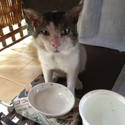 「おじいちゃん、故郷に帰る？？？」サムネイル3