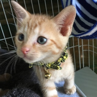 里親さん決定！