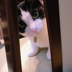 うちのモデルさん