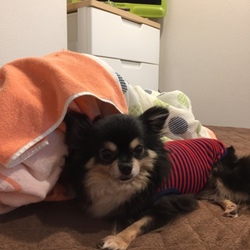 「自分から遊びに(>_<)」サムネイル1