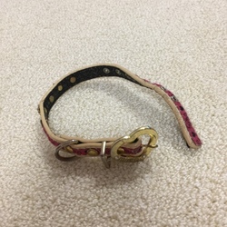 「自分から遊びに(>_<)」サムネイル2