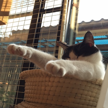 オッタマの写真