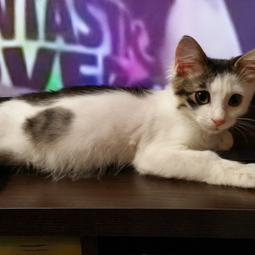 お気に入りの場所(*^_^*)♥