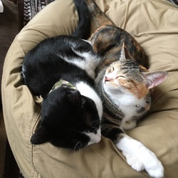 ペットログ初投稿です♪