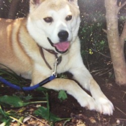 ずっと不思議に思っているｺﾄ‥(  -_・)?