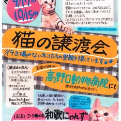 猫の譲渡会☆台風のため中止