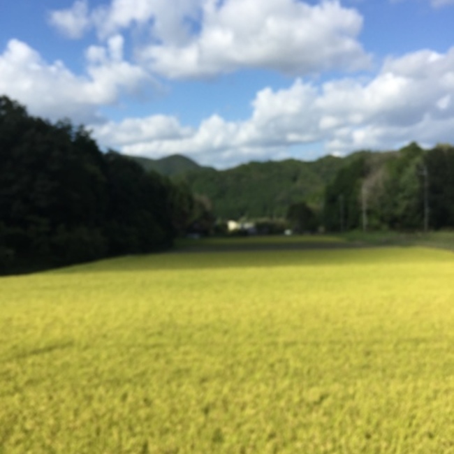 yusuke.tのカバー写真