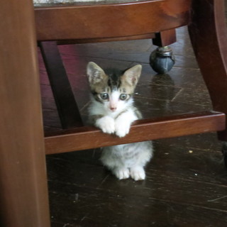 生後２ヶ月の男の子です