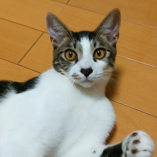 ビビリだけどスリスリボーイ君