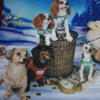 マロン*ミロ*ノア*ソラレオン