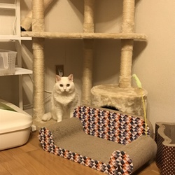 「穏やかに寝ております（但しお触り禁止は継続中）」サムネイル3