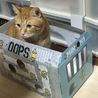 むぎたろう さん