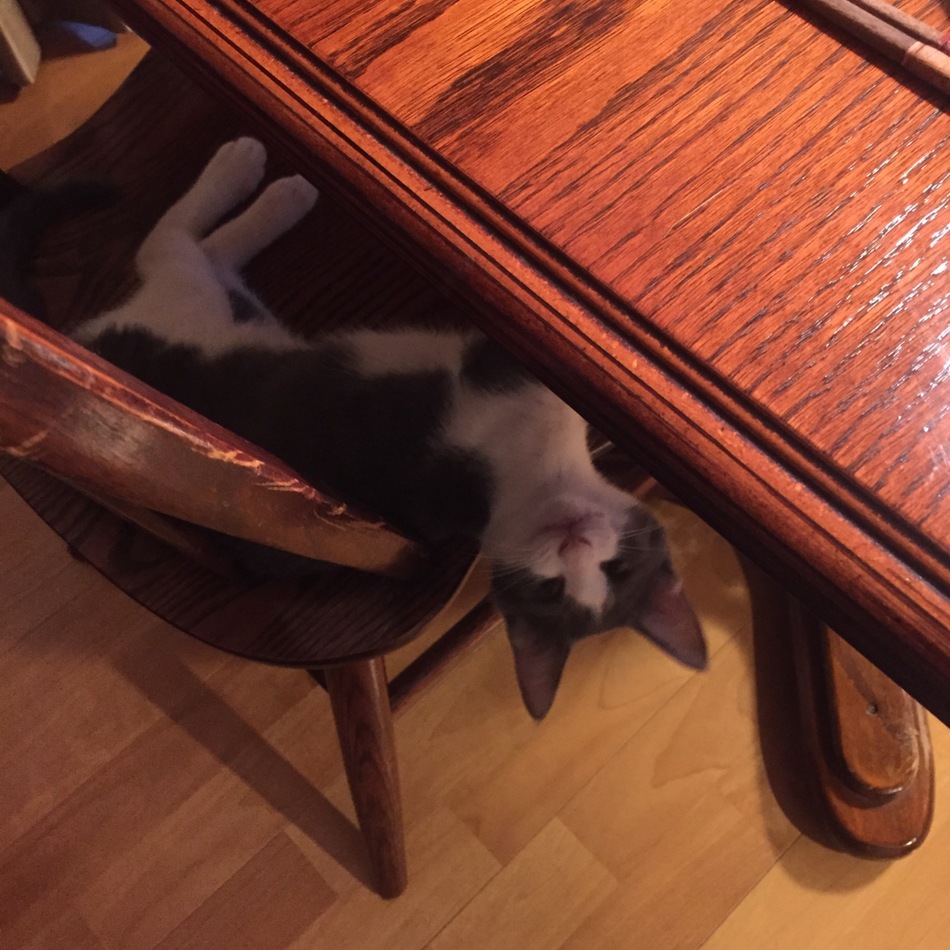 あるのカバー写真