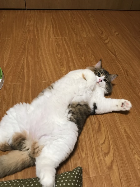 悠