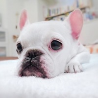 POCO