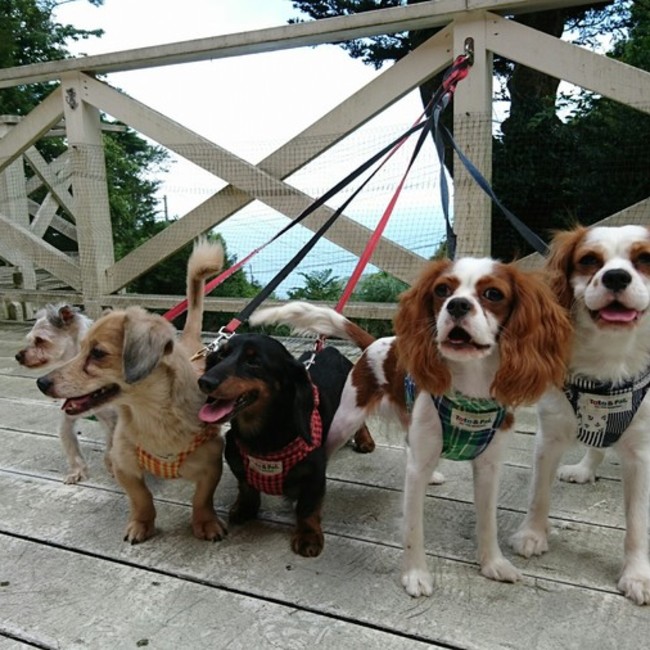 maronmiroのカバー写真