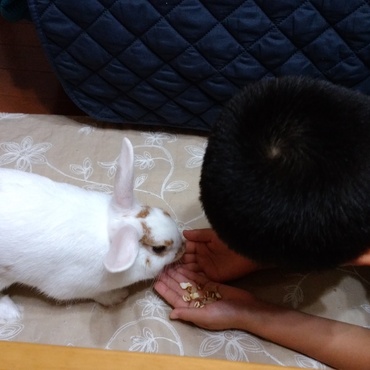 １日1回のオヤツを毎日心待ちにしてます。私があげる時は膝の上に乗って食べてくれます。