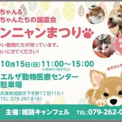 姫路キャンフェル　　ワンニャンまつり