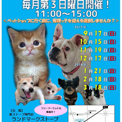 静岡県富士市にて「第三回定期犬猫譲渡会」