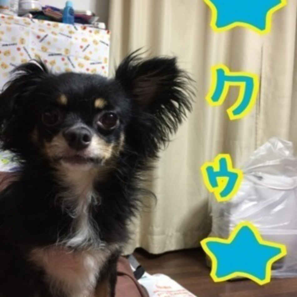 くうのカバー写真