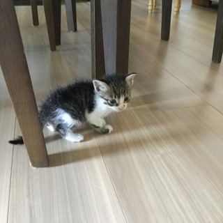 あゆちゃん〜生後1ヶ月以内