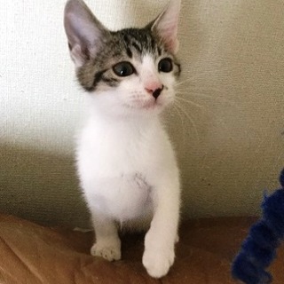 源太郎　　4ヶ月くらいの男の子