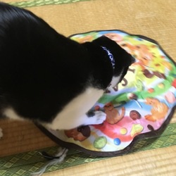 「贈り物届きました！」サムネイル2