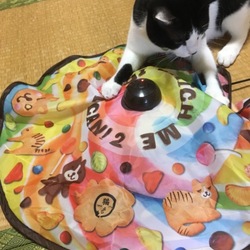 贈り物届きました！