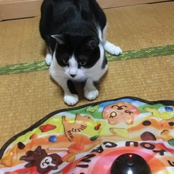 「贈り物届きました！」サムネイル3