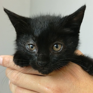 里親決定！！家族ができました(*´▽｀*)