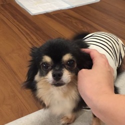 「抜糸完了！」サムネイル1