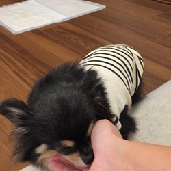 「抜糸完了！」サムネイル2