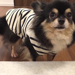 「抜糸完了！」サムネイル3