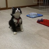 キャサリン