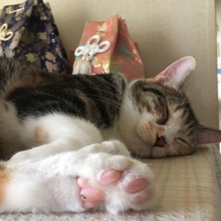 お気に入りの場所♪