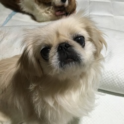 「今更 ですが・・・」サムネイル1