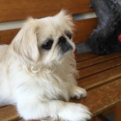 「今更 ですが・・・」サムネイル2