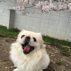 「今更 ですが・・・」サムネイル3