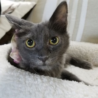 9/17池袋★レオンくん★貴公子