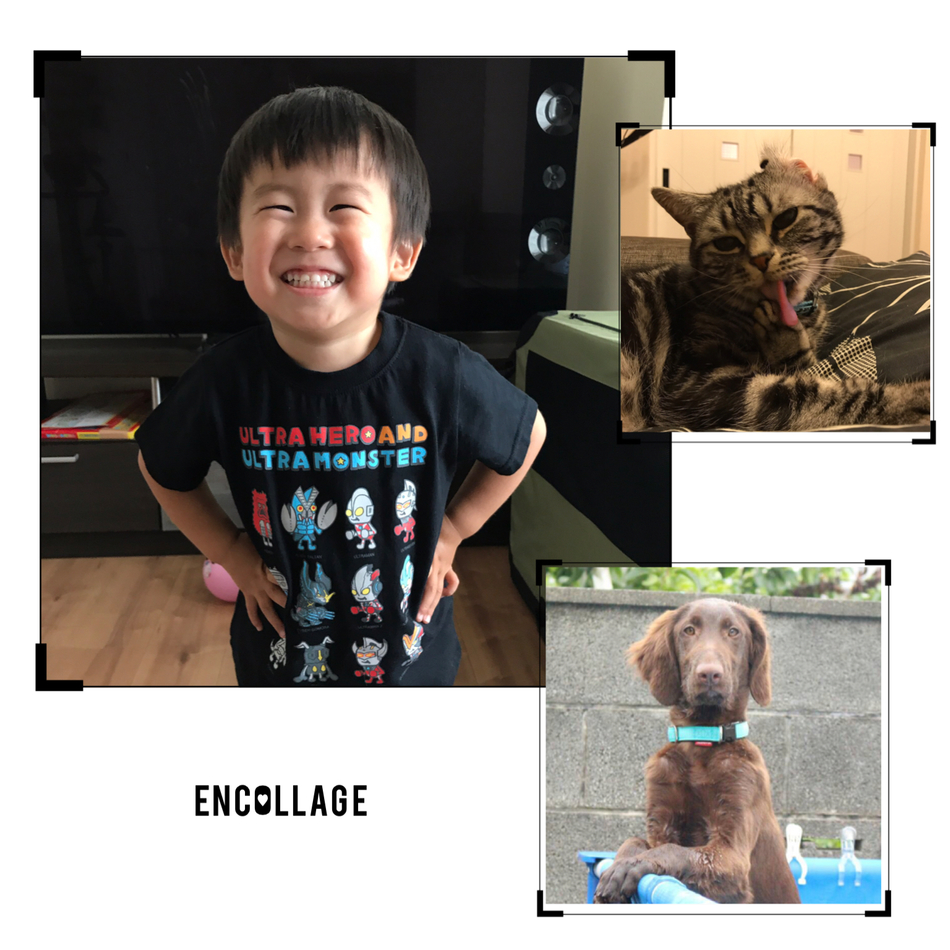 ライトのカバー写真