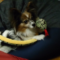 ジャパンスネークセンター