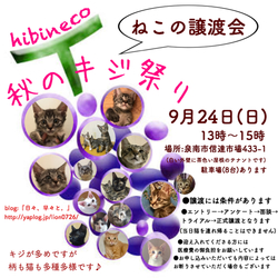 hibineco☆秋のキジ祭り☆