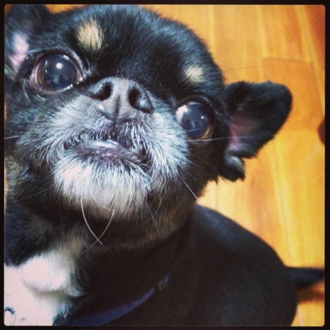 ちぃろのカバー写真