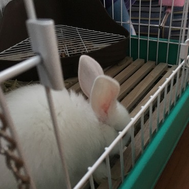 あまりいいアングルで撮れません。