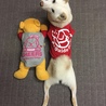 お古はプーさんへ
