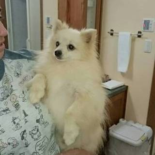 面会あり、一旦停止します