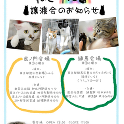 ねこけん譲渡会★虎ノ門会場
